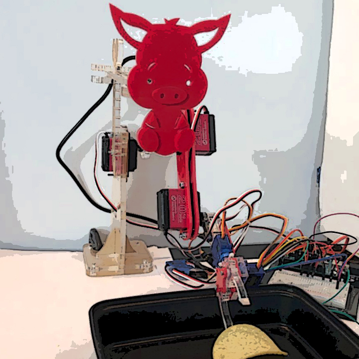Robotic Assistant